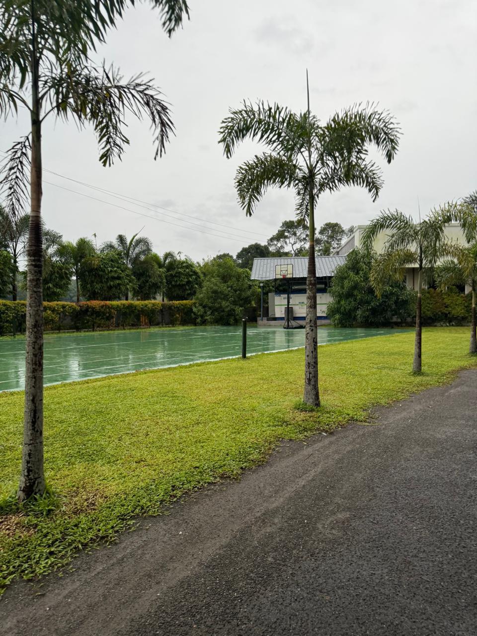 Basketball Court